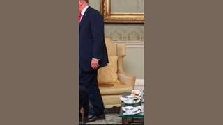 Fact Check: NOT Real -- Image of Trump Wetting Chair After Meeting With Irish President Catherine Connolly