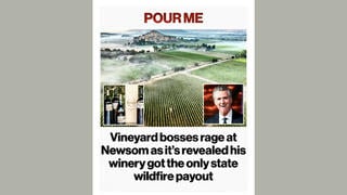Fact Check: Gavin Newsom's Winery Did NOT Receive 'State Wildfire Payout' -- It Got A Private Settlement With Hundred Acre