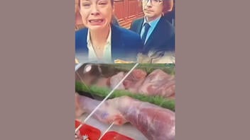 Fact Check: Paris Butcher Was NOT Arrested For Selling Human Meat -- That Never Happened, Video Was Filmed In Dubai