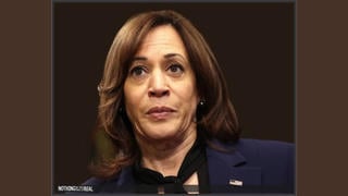 Fact Check: Kamala Harris Will NOT Be Personally Responsible For Her Campaign's $39 Million Debt -- Claim Comes From Satire Site