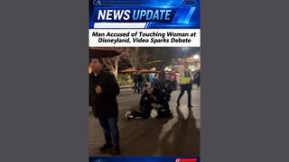 Fact Check: Video Does NOT Show Arrest of Man Accused of Inappropriately Touching Influencer at Disneyland -- 2024 Footage