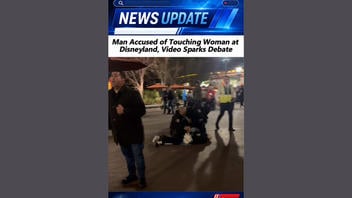 Fact Check: Video Does NOT Show Arrest of Man Accused of Inappropriately Touching Influencer at Disneyland -- 2024 Footage