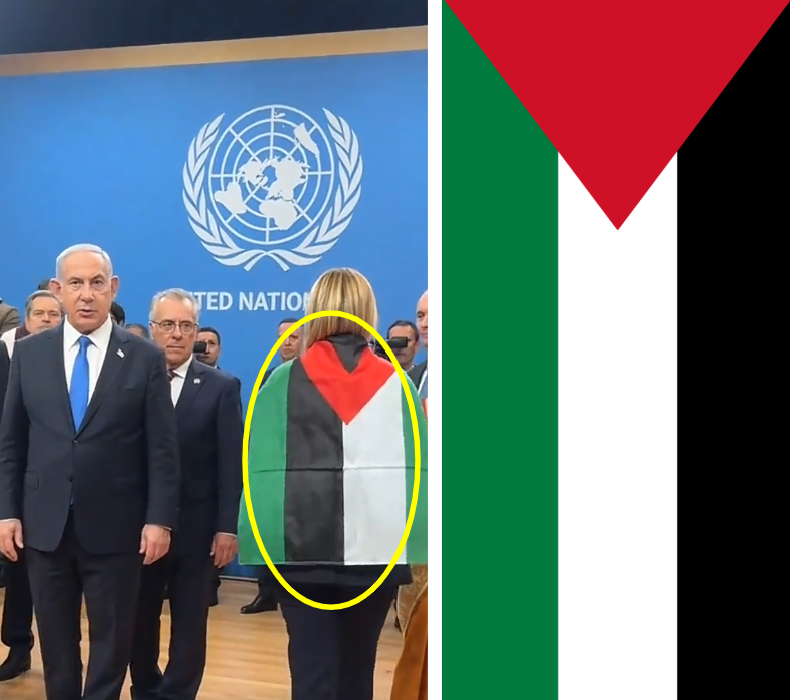 flag meloni comparison.png