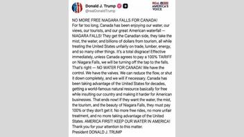 Fact Check: Trump Did NOT Post 'No More Free Niagara Falls For Canada!' -- It Is A Made-Up Screenshot