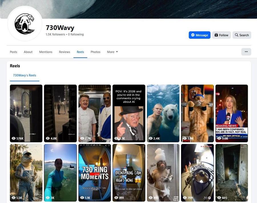 wavyreels.jpg
