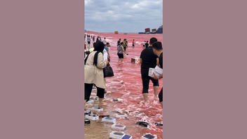 Fact Check: FAKE Video Shows People Fishing iPhones Out of Water After Missile Attack on Ship in Strait of Hormuz -- It Is AI