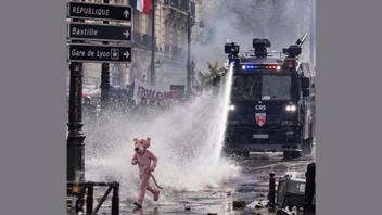 Fact Check: FAKE Images, Videos Show Pink Panther at Paris Protests