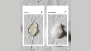 Fact Check: Image Claiming To Show Fertility Signs Is AI-Generated -- Labels Are Misspelled