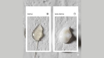 Fact Check: Image Claiming To Show Fertility Signs Is AI-Generated -- Labels Are Misspelled