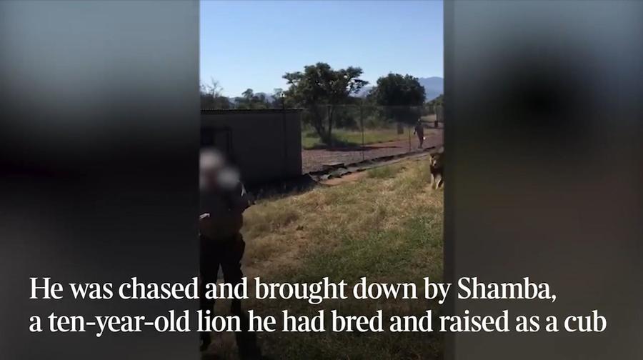 SafariPark.jpg