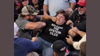 Fact Check: FAKE Photo Shows Moment Woman Wearing 'Release the Epstein Files' Shirt Was Punched By Trump Supporters -- It Is AI-Generated