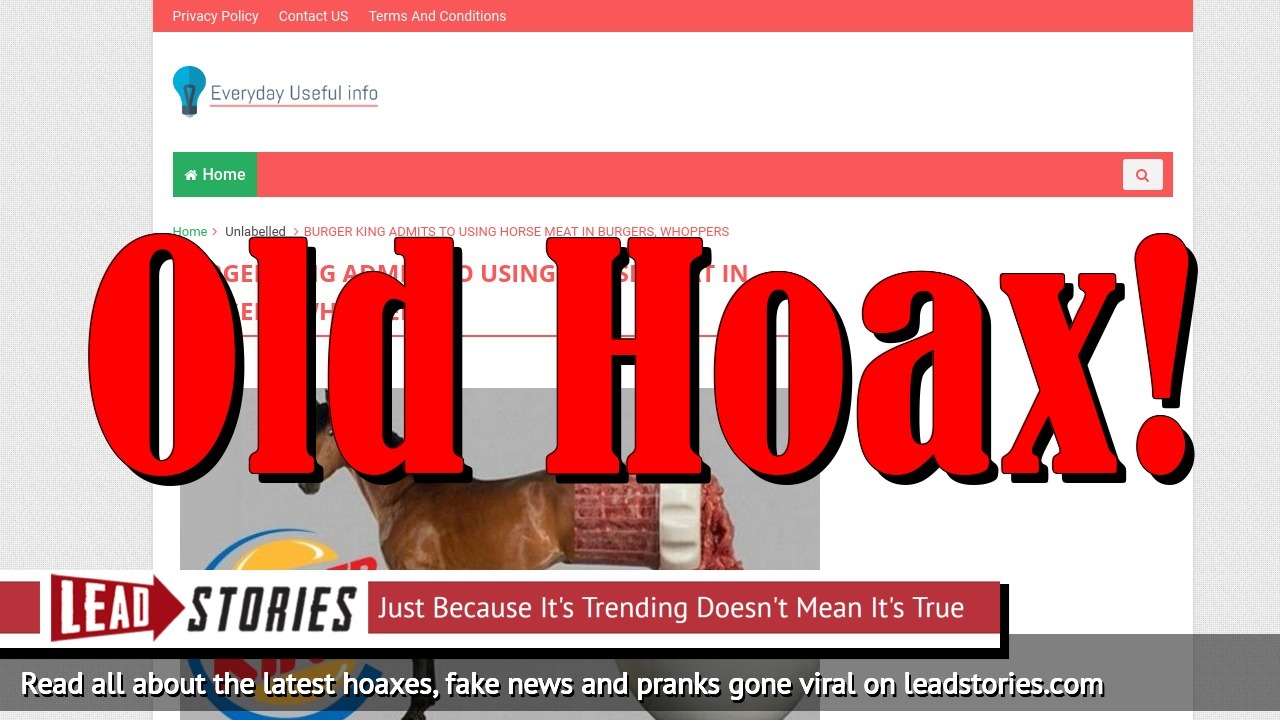Fake News Burger King Did NOT Admit To Using Horse Meat In Burgers