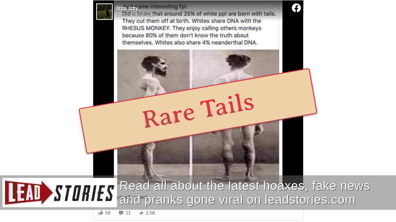 Fact Check: 25% Of White People Are NOT Born With Tails That Are Cut