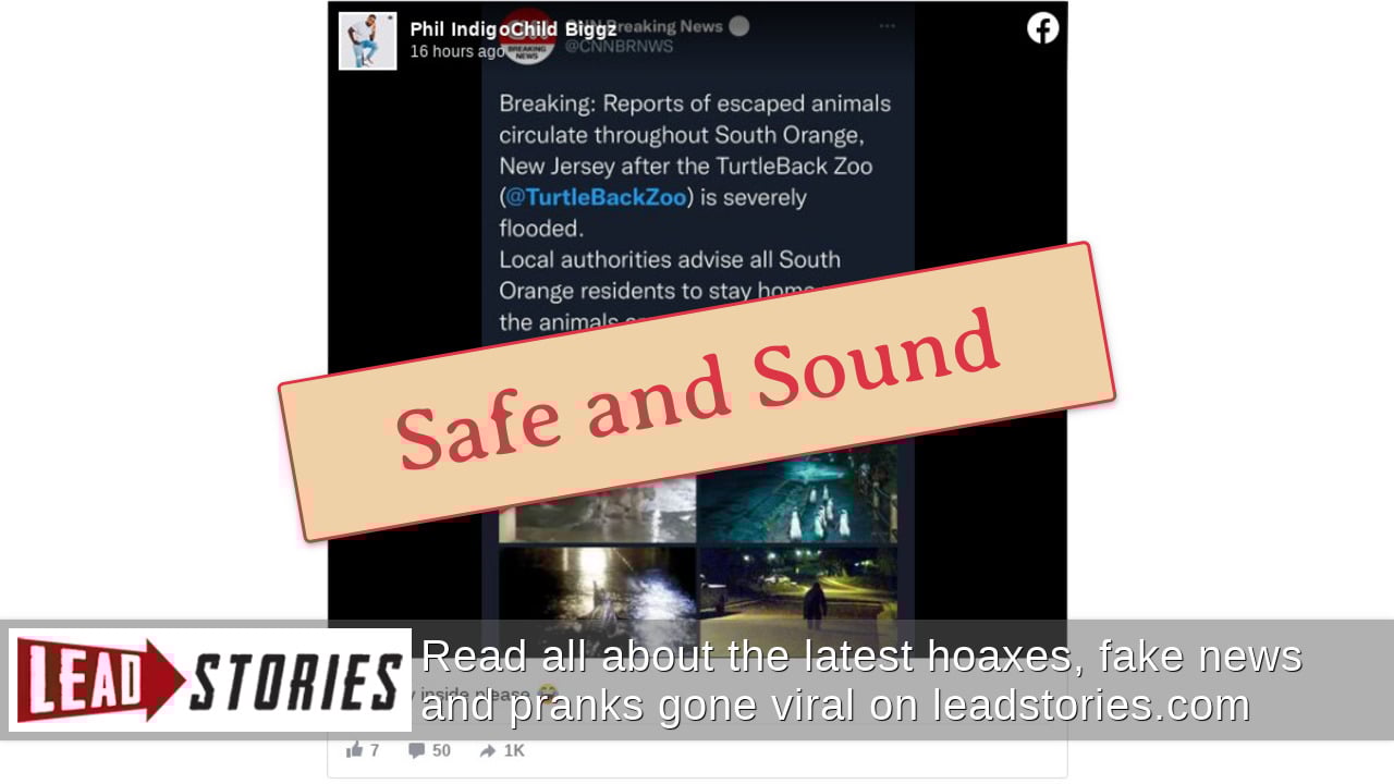 Fact Check Animals At Turtle Back Zoo In N.J. Did NOT Escape In The