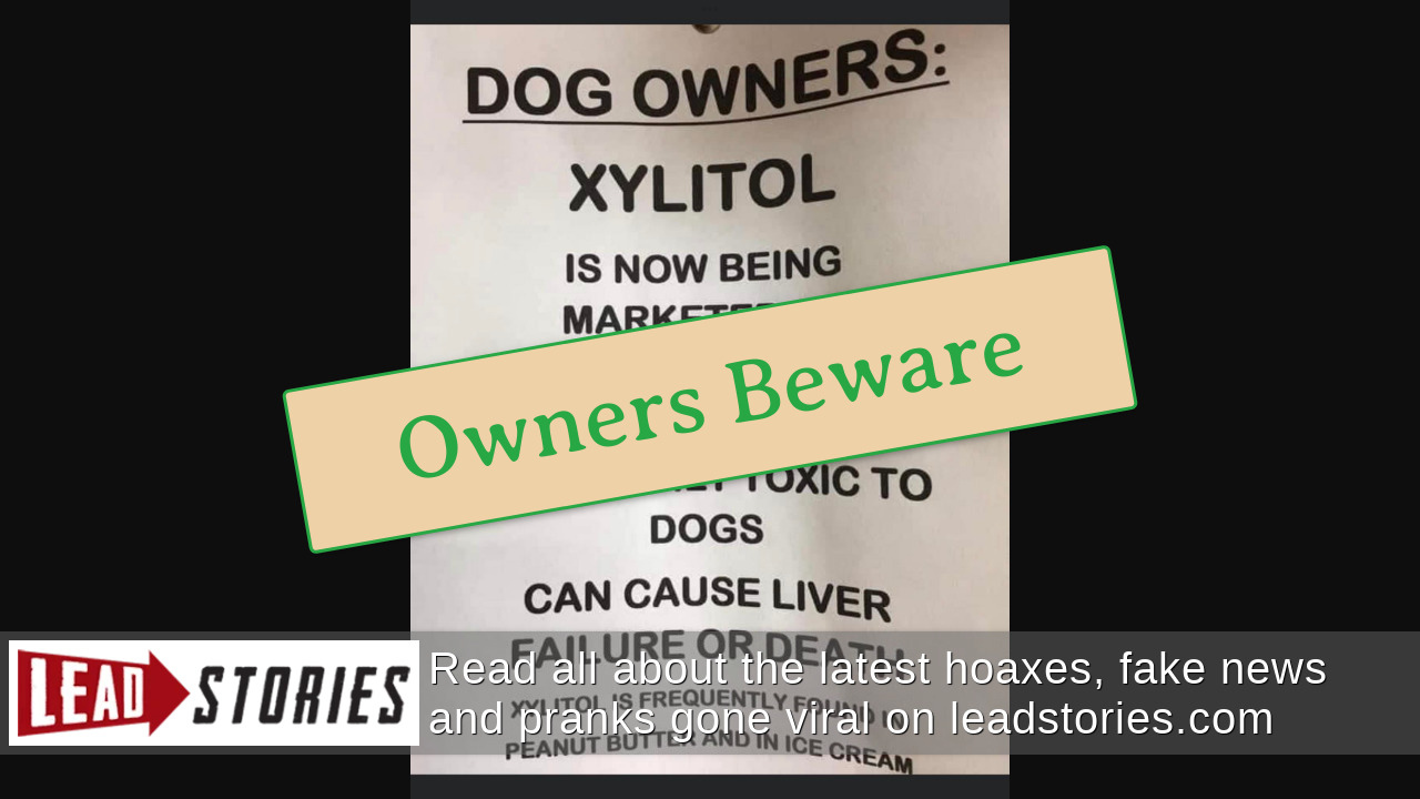 Fact Check Peanut Butter With Xylitol IS Highly Toxic To Dogs Lead