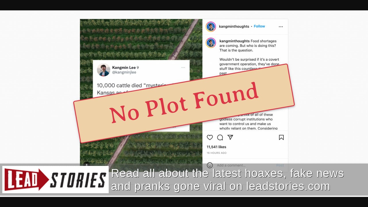 Fact Check NO Evidence That Food Processing Plant Fires, Death Of