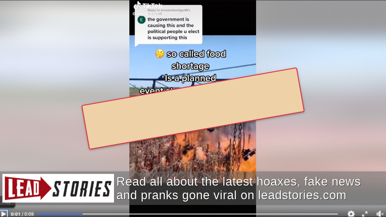 Fact Check: This Video Does NOT Show Government Burning Crops | Lead ...