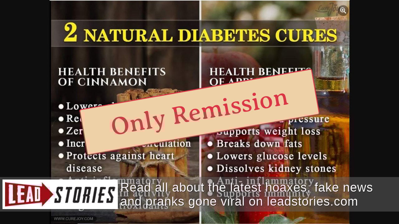 Fact Check Cinnamon, Apple Cider Vinegar Are NOT 'Natural Diabetes Cures' Lead Stories