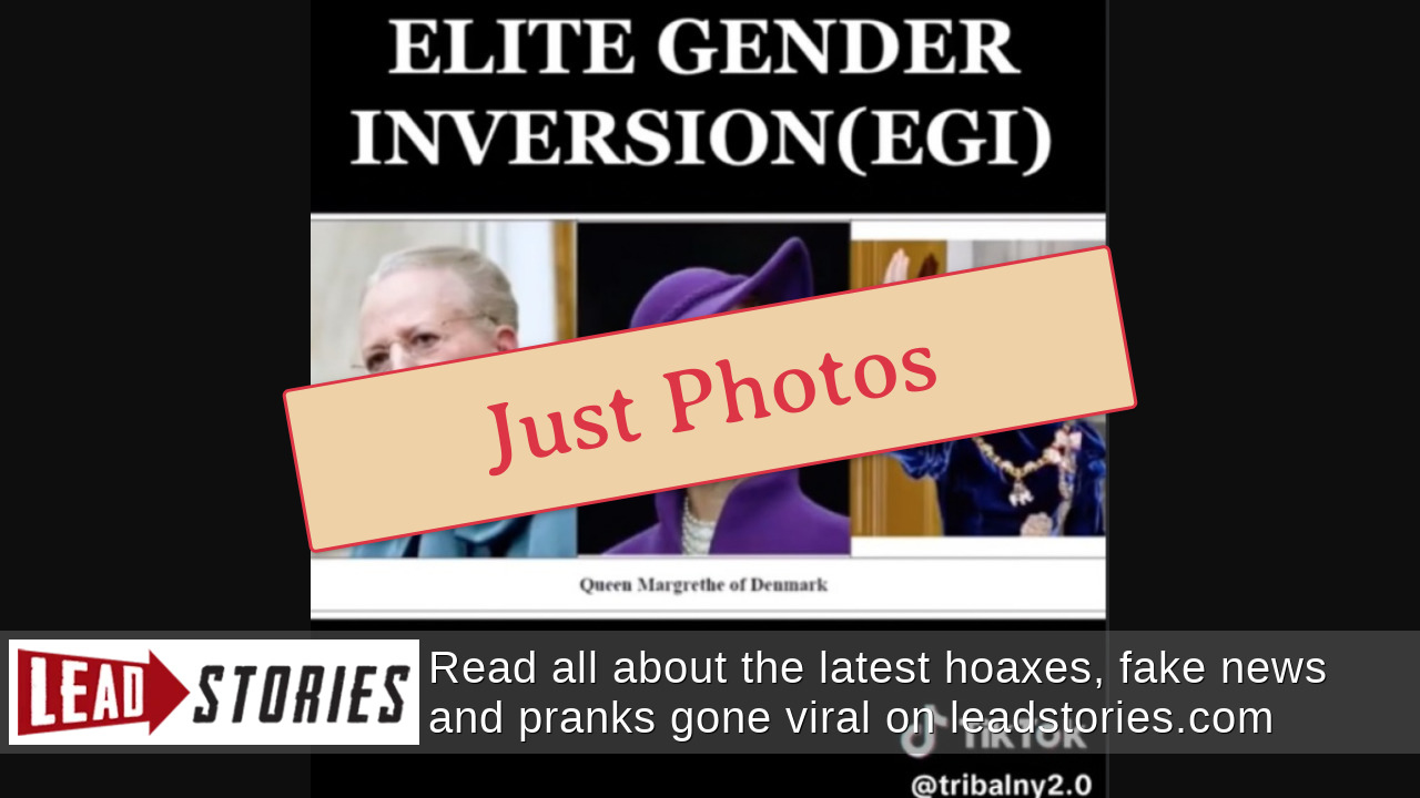 Fact Check: NO Evidence Many Members Of Royal Families Of Europe Have ...