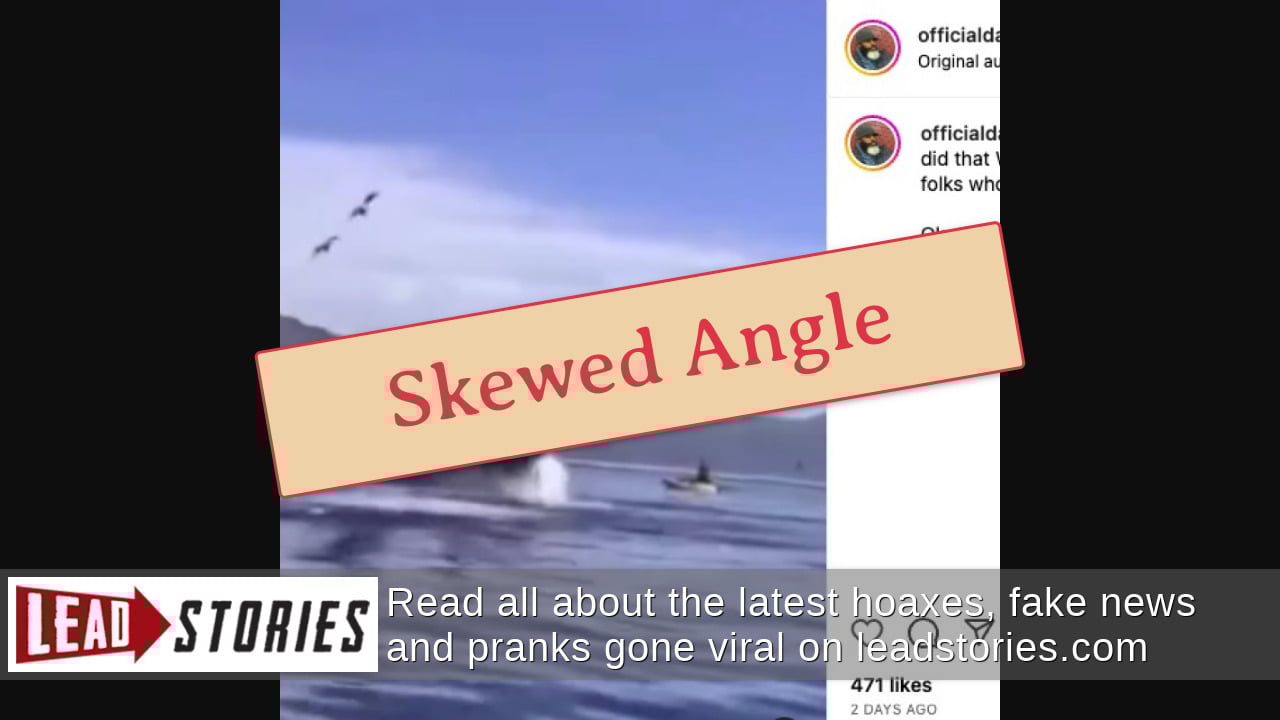 Fact Check Whale Did NOT 'Swallow' Two Kayakers Lead Stories