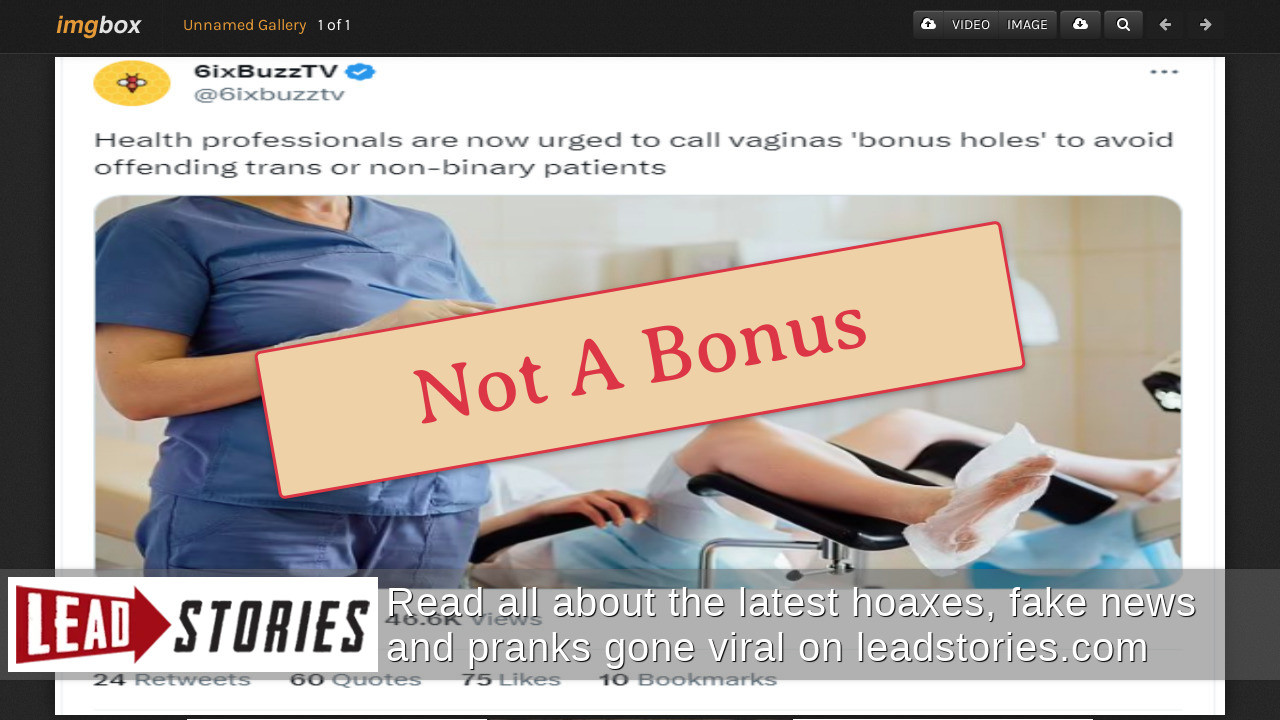 Fact Check Health Professionals Not Urged To Call Vaginas Bonus Holes To Avoid Offending