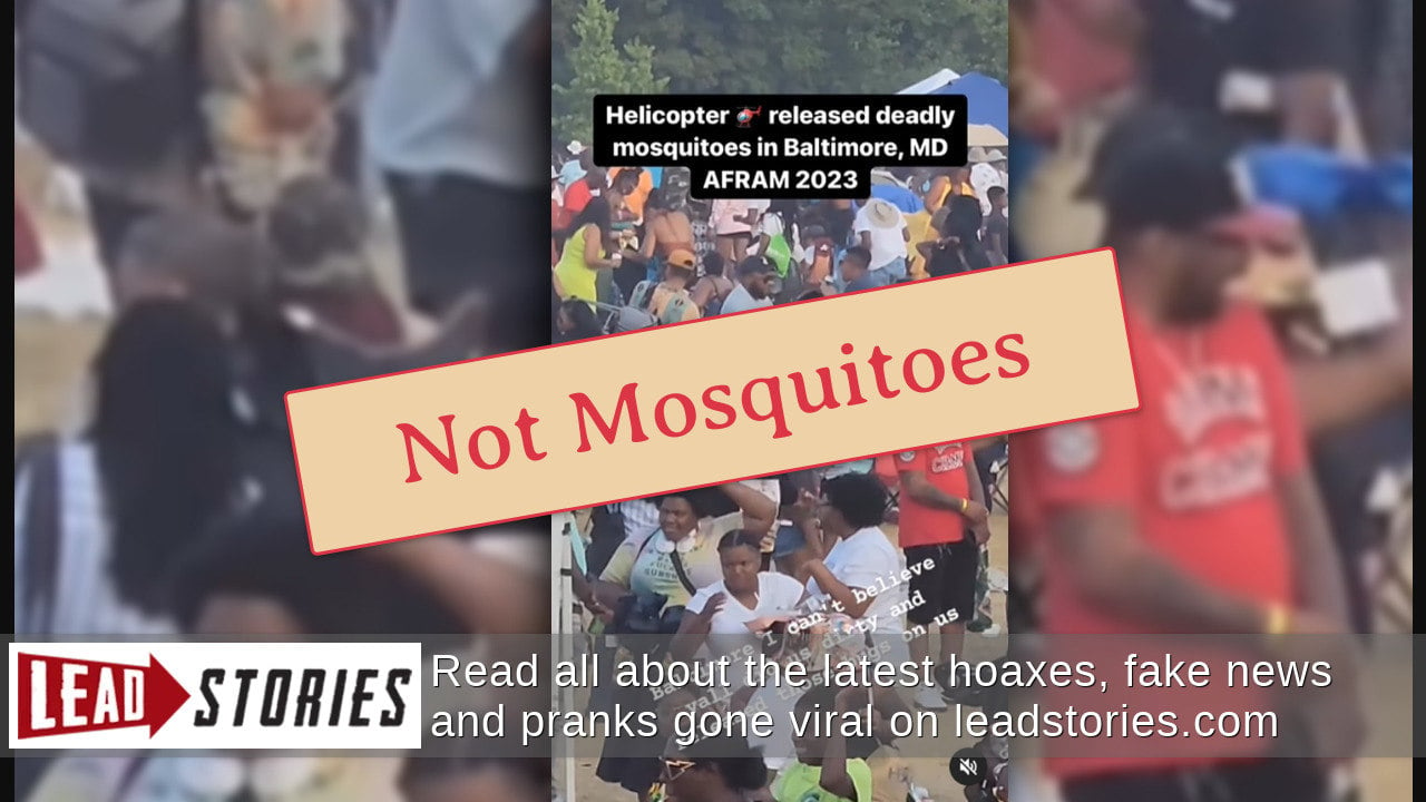 Fact Check Bugs Swarming At AFRAM Were NOT 'Deadly Mosquitoes