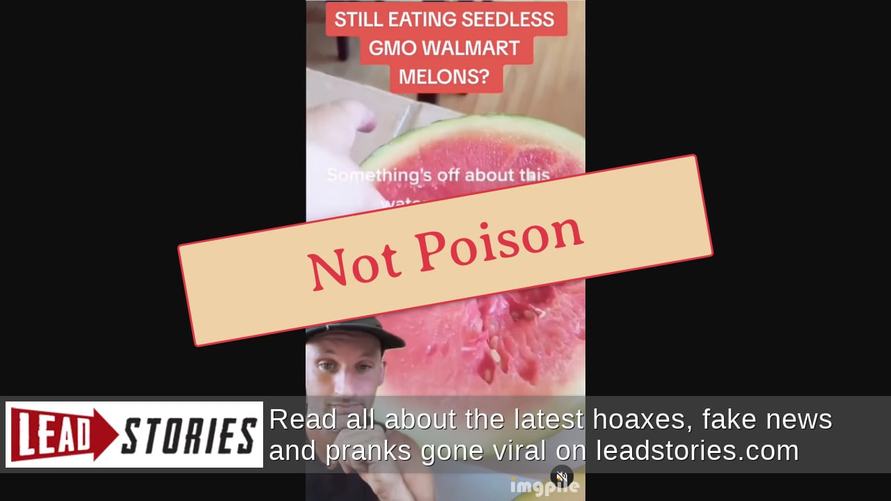 Fact Check Seedless Watermelons Are NOT 'GMO' Or Unsafe To Eat Lead