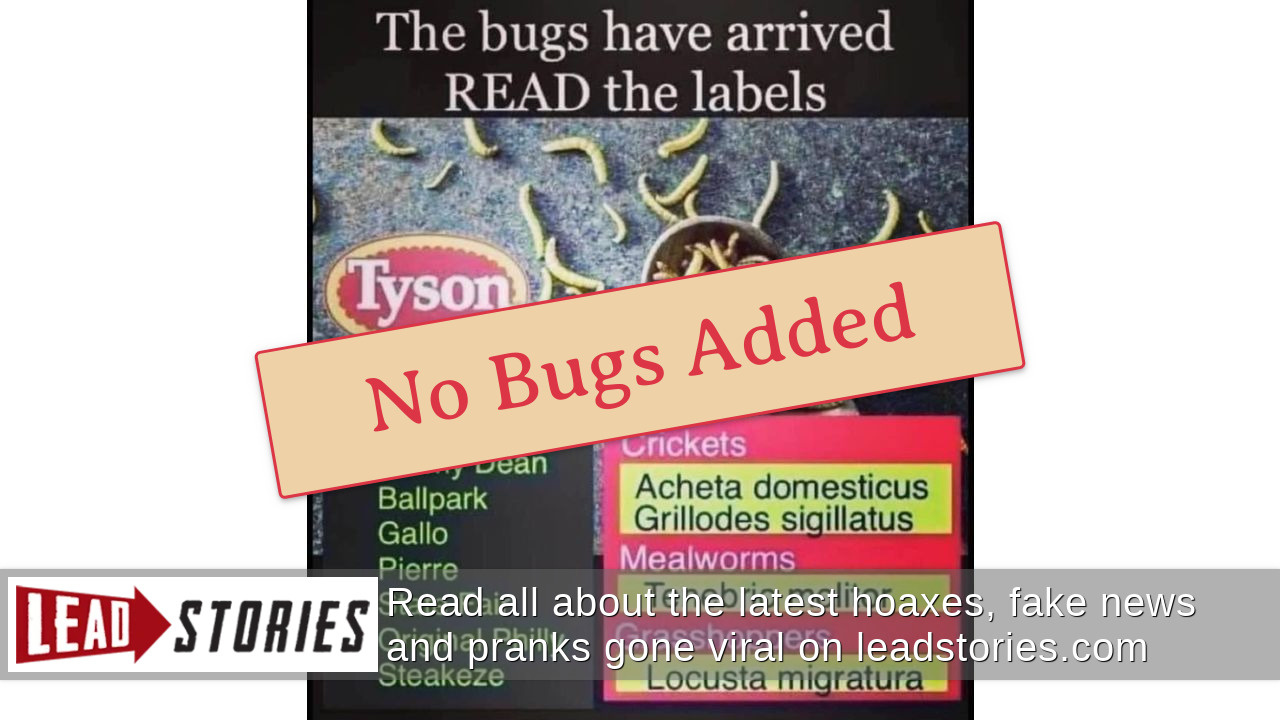Fact Check: Tyson Foods Is NOT Adding Insects To Meat Products | Lead ...