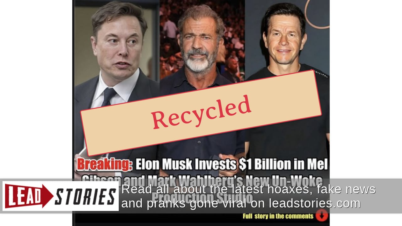 Fact Check: Elon Musk Did NOT Invest $1 Billion In Mel Gibson And Mark ...