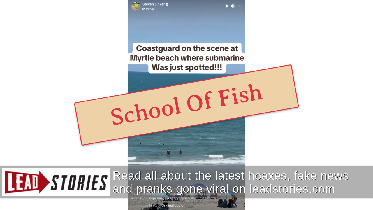 Fact Check: Video Does NOT Prove Submarine Sighting At Myrtle Beach ...