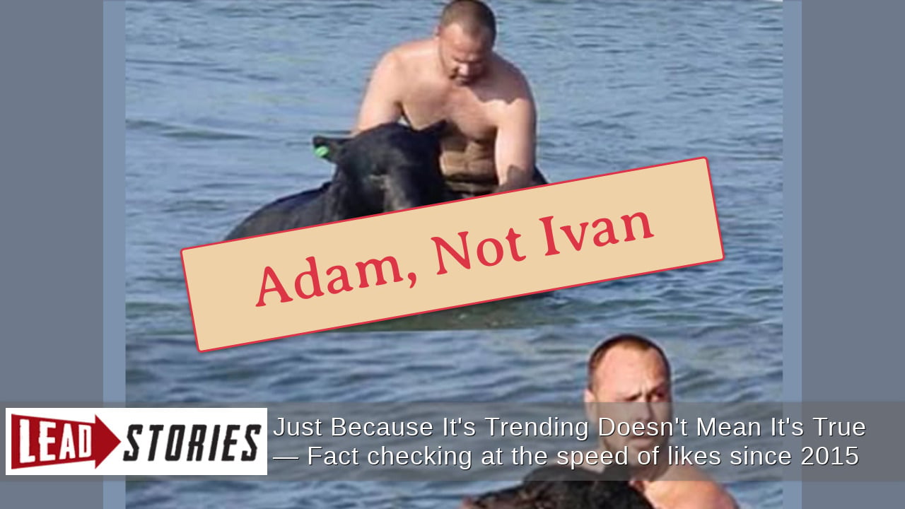 Fact Check: Russian Visitor Ivan Stepanov Did NOT Rescue Drowning Bear ...