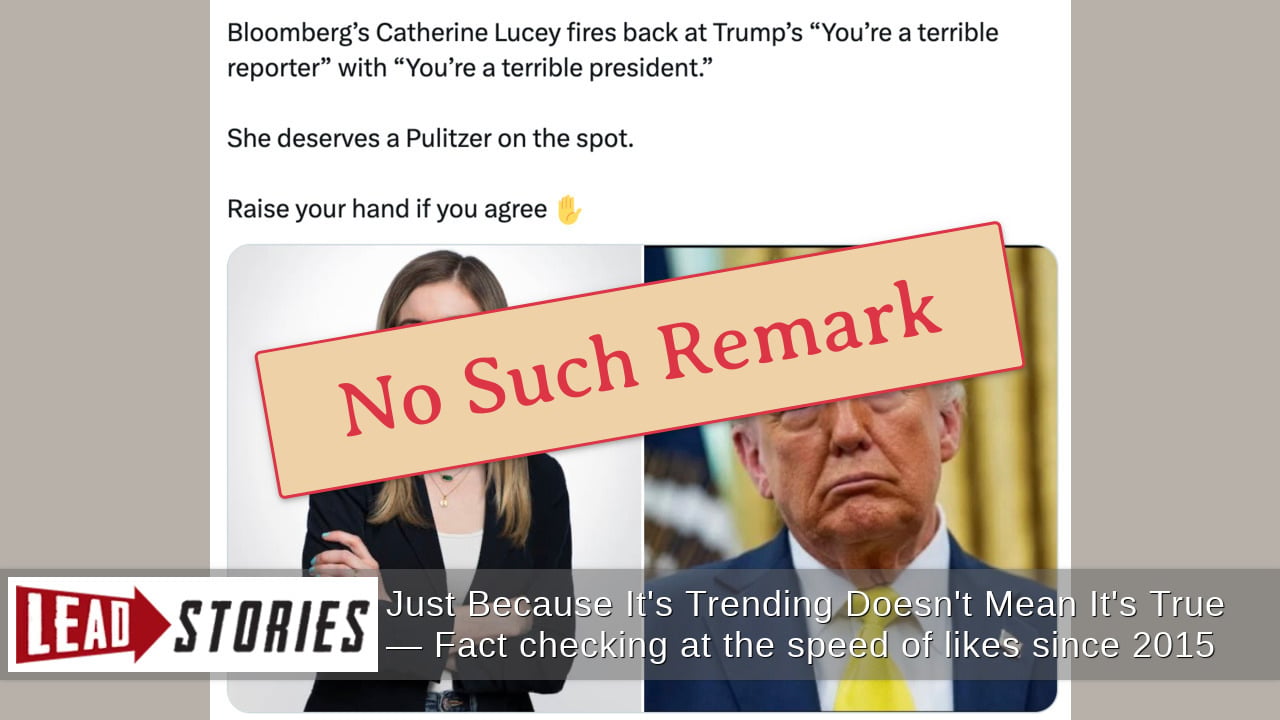 FAKE Quotes Fabricate 'Terrible Reporter', 'Terrible President' Trump-Lucey Exchange