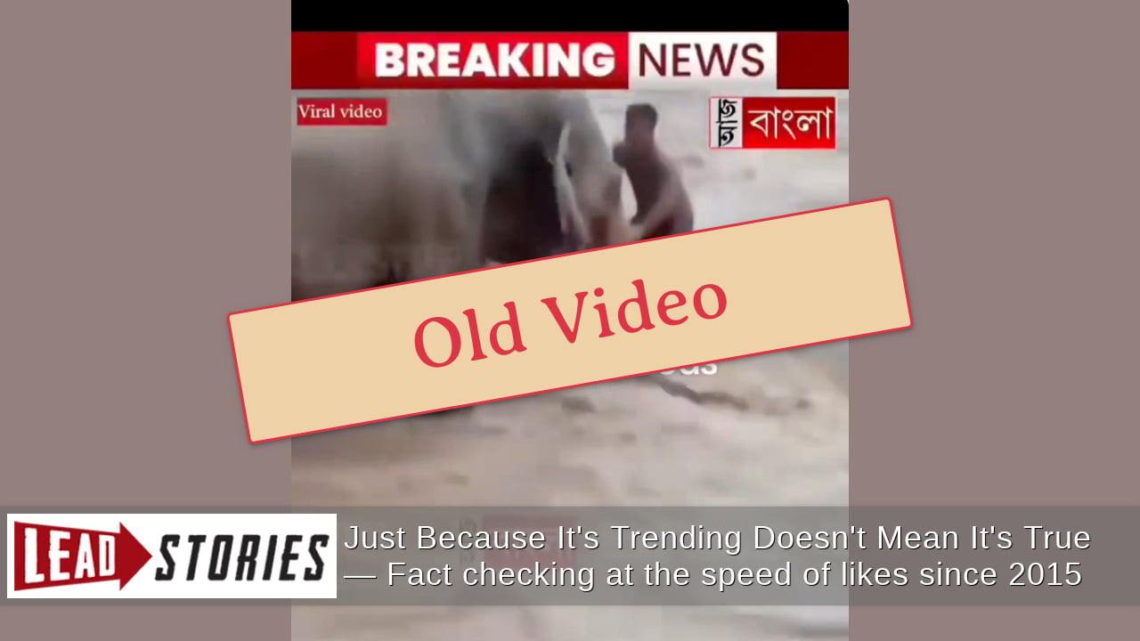 Video Of Elephant Rescuing Man Does NOT Show Nepal Floods -- It Was Filmed In India Weeks Earlier