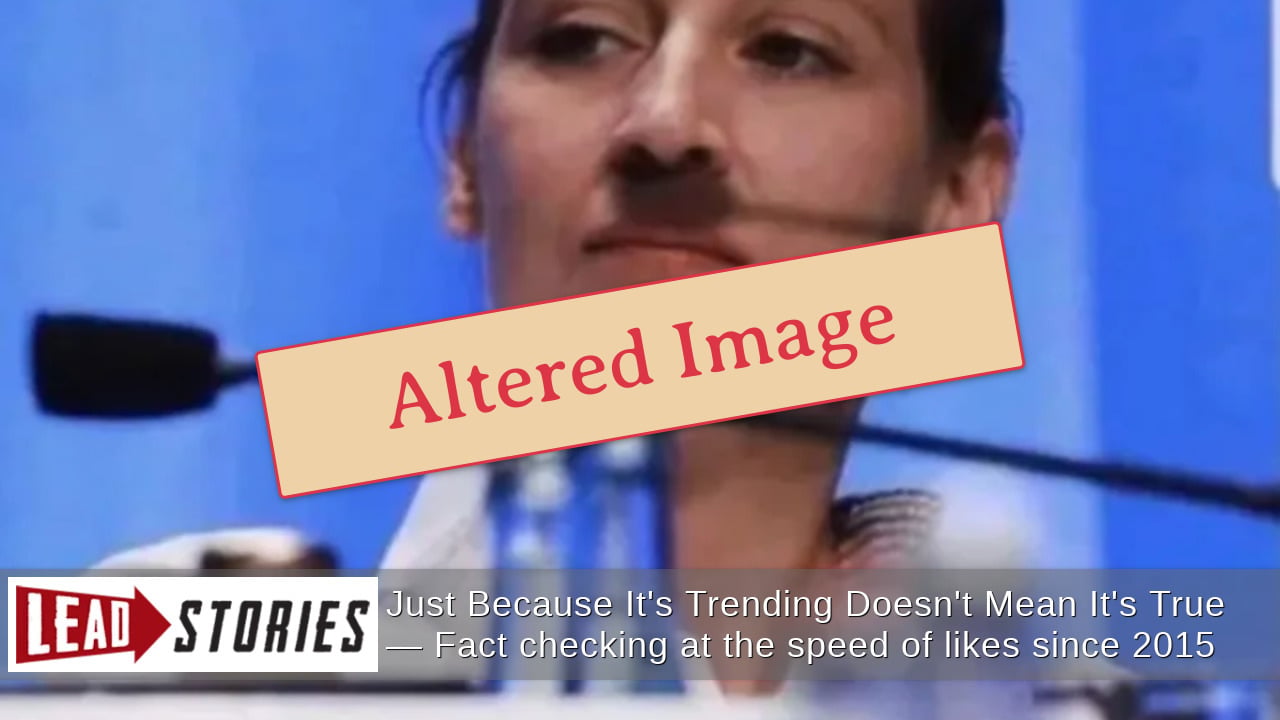 ALTERED Image Shows Shadow Mustache On AfD Leader Alice Weidel -- Not In The Original 2016 Photo