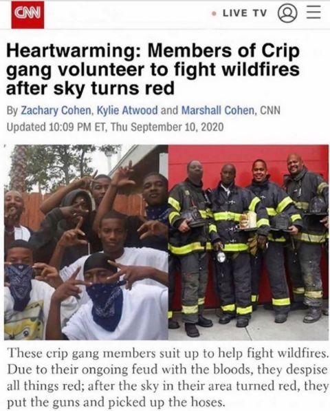 cripscnn.jpg