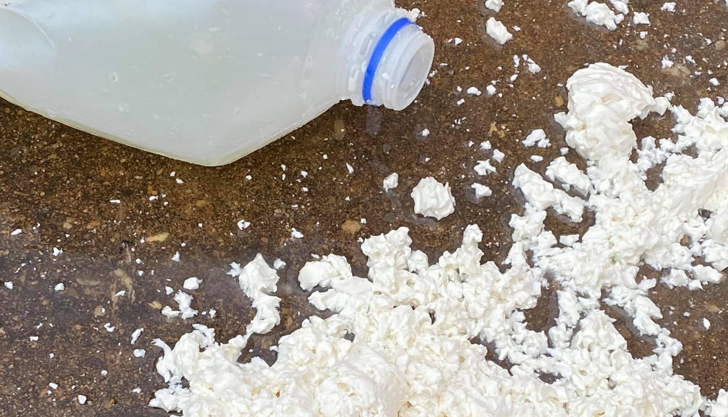 Fact Check Cow's Milk Is NOT Pus, Blood And Whitening Acidified