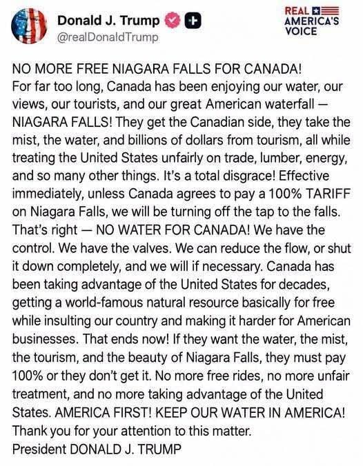 Fake Trump post.jpg