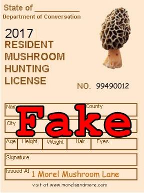 shroomlicense.jpg