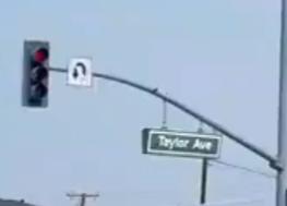 taylor.jpg