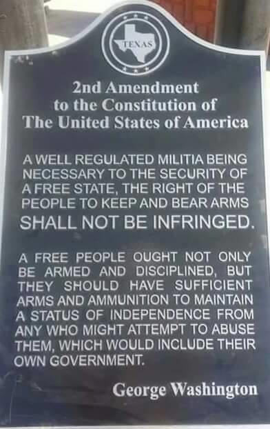 Second Amendment Quotes By George Washington - George Washing Quote | George washington quotes, Liberty ... - The second amendment of the united states constitution reads: