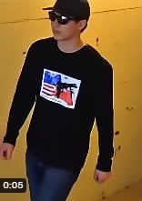 ProjectConstitutionFakeVid.png