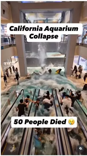 AquariumCollapsePost.jpg
