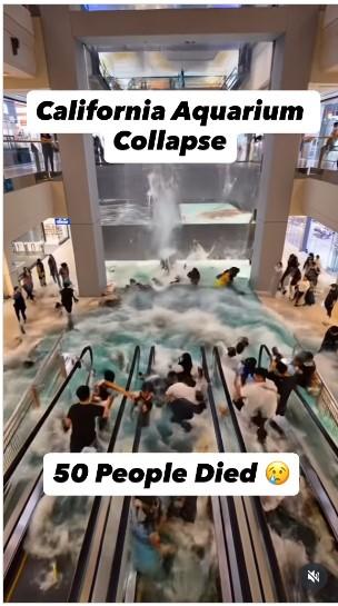 AquariumCollapsePost.jpg