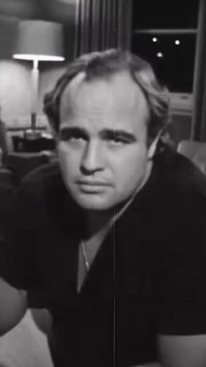 Brando.jpg