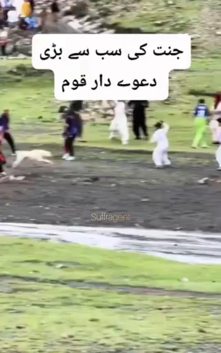 Dog running.jpg