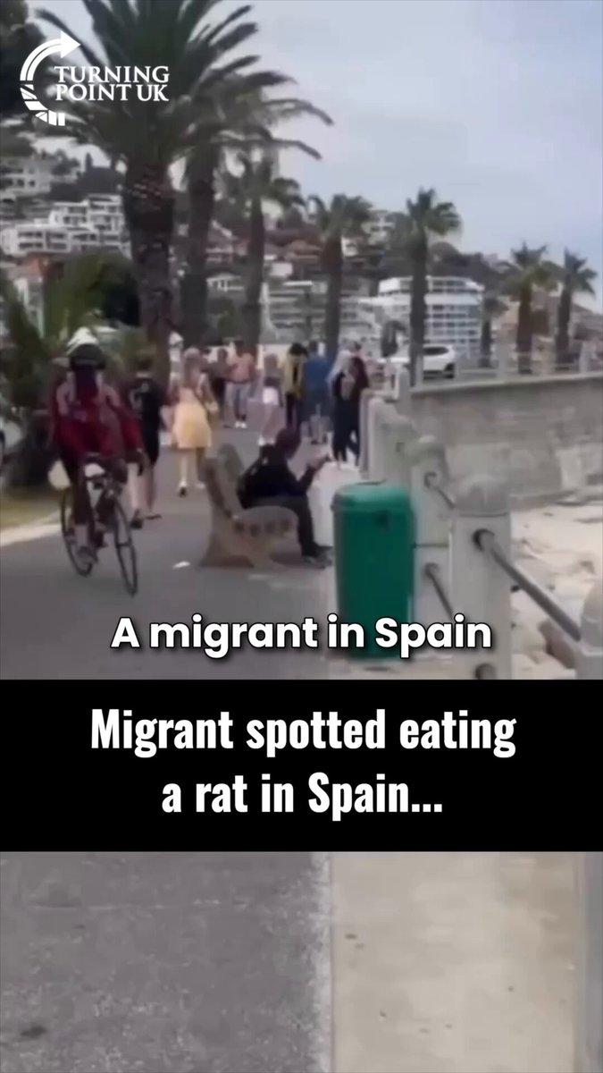 Man with Rat 1.jpg