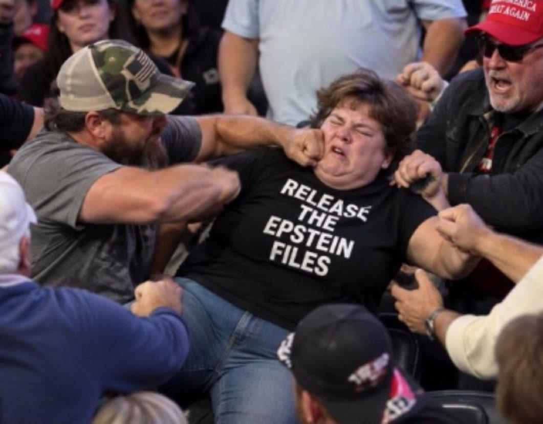 Punch Epstein Files.jpg