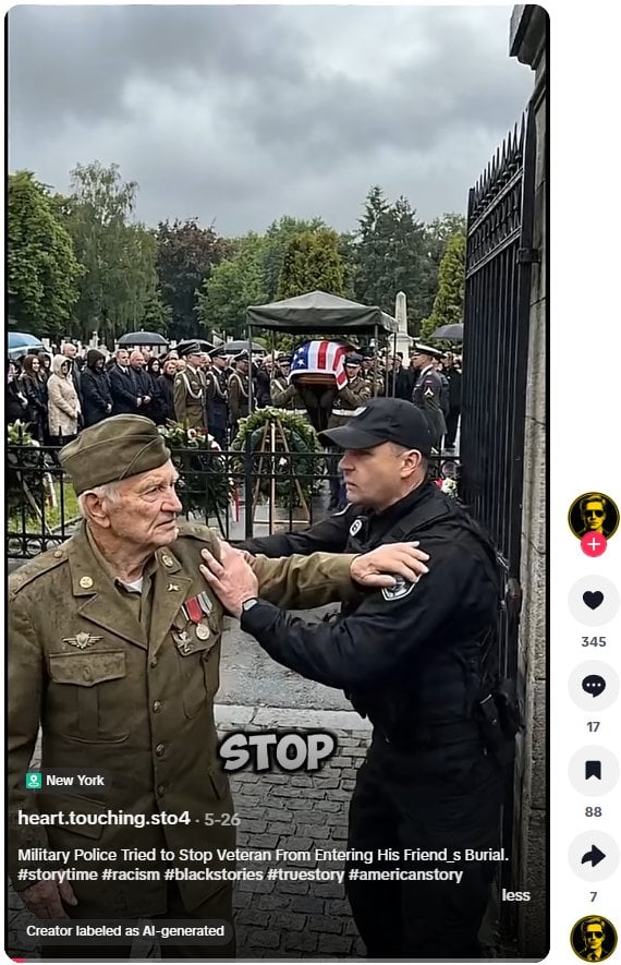 Tiktok vet.png