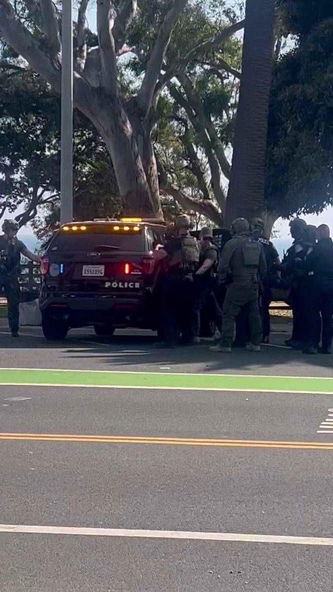 arrest.jpg