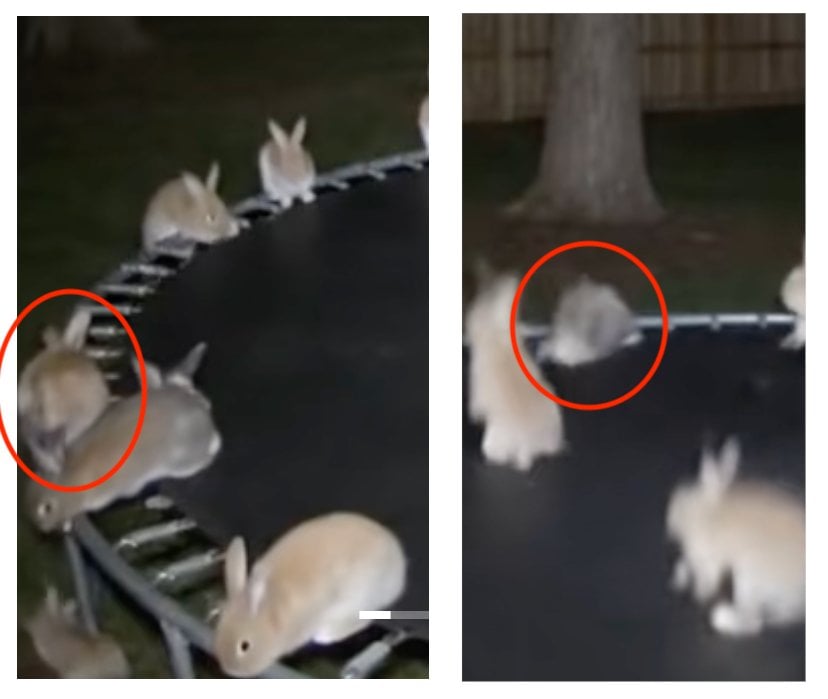 shape_change.png